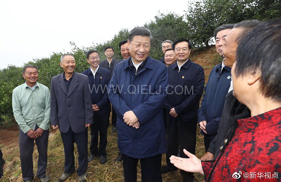 光山油茶籽榨油設備，山茶籽油榨油機廠家(圖2)