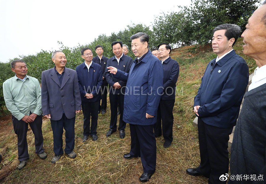 光山油茶籽榨油設備，山茶籽油榨油機廠家(圖3)